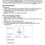 33 Free Trading Card Templates (Baseball, Football, Etc Pertaining To Superhero Trading Card Template