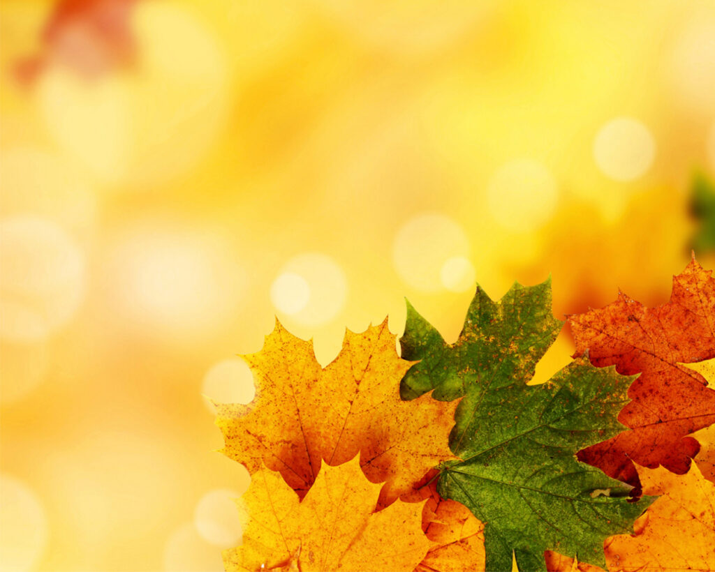 autumn-ppt-background-free-autumn-frame-powerpoint-with-free-fall