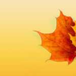 Autumn Ppt Background – Powerpoint Backgrounds For Free With Regard To Free Fall Powerpoint Templates
