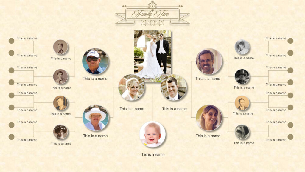 Family Tree Powerpoint Templates for Powerpoint Genealogy Template