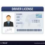 Man Driver License Plastic Card Template Id Card Vector Image intended for Pvc Id Card Template