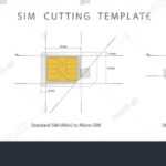 Sim Card Cutting Template Standard Micro Stock Vector Throughout Sim Card Cutter Template