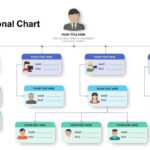 Simple Organizational Chart Template For Powerpoint Presentation For Microsoft Powerpoint Org Chart Template