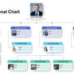 Simple Organizational Chart Template For Powerpoint Presentation with Microsoft Powerpoint Org Chart Template